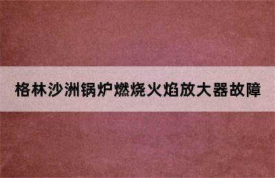 格林沙洲锅炉燃烧火焰放大器故障