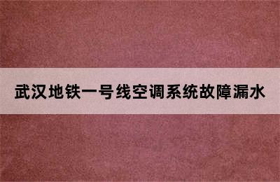 武汉地铁一号线空调系统故障漏水