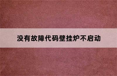 没有故障代码壁挂炉不启动