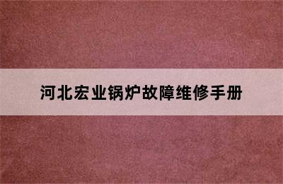 河北宏业锅炉故障维修手册