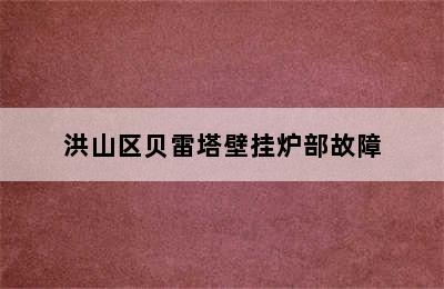 洪山区贝雷塔壁挂炉部故障