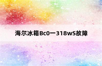 海尔冰箱Bc0一318wS故障