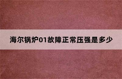 海尔锅炉01故障正常压强是多少