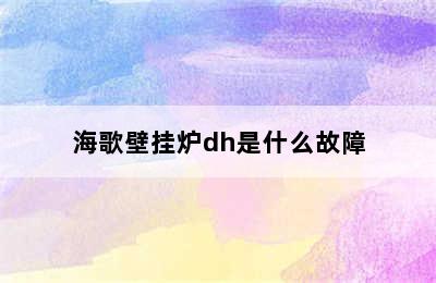 海歌壁挂炉dh是什么故障