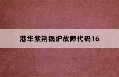 港华紫荆锅炉故障代码16