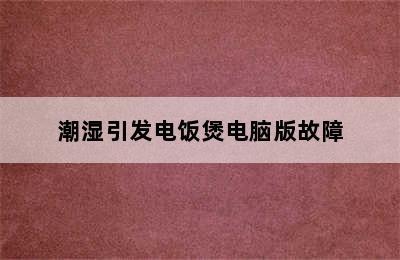 潮湿引发电饭煲电脑版故障