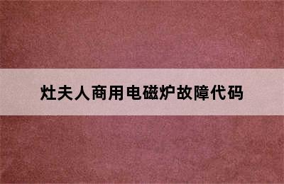 灶夫人商用电磁炉故障代码