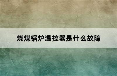 烧煤锅炉温控器是什么故障