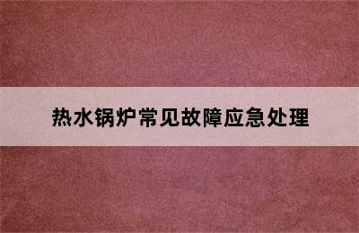 热水锅炉常见故障应急处理