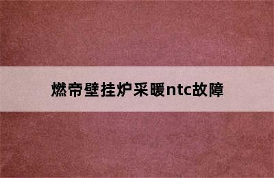 燃帝壁挂炉采暖ntc故障