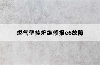 燃气壁挂炉维修报e6故障