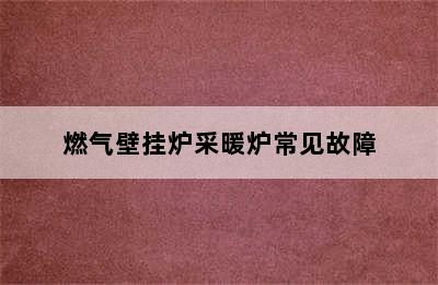 燃气壁挂炉采暖炉常见故障