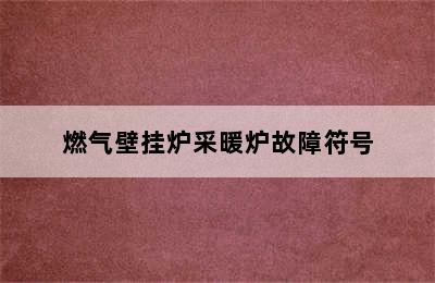 燃气壁挂炉采暖炉故障符号