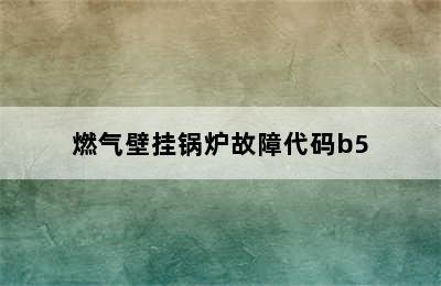 燃气壁挂锅炉故障代码b5