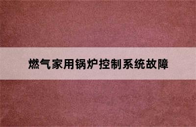 燃气家用锅炉控制系统故障