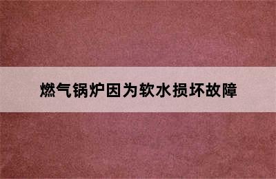 燃气锅炉因为软水损坏故障