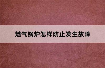 燃气锅炉怎样防止发生故障