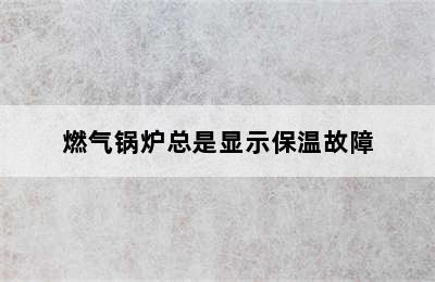 燃气锅炉总是显示保温故障