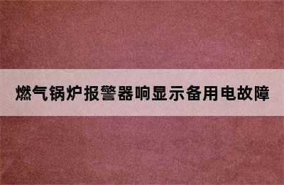 燃气锅炉报警器响显示备用电故障