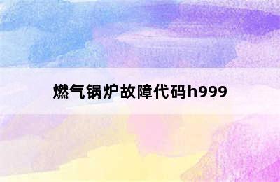 燃气锅炉故障代码h999