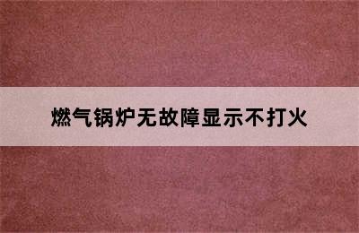 燃气锅炉无故障显示不打火