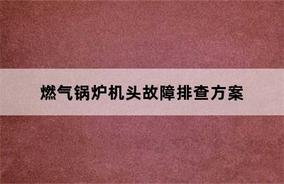 燃气锅炉机头故障排查方案