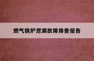 燃气锅炉泄漏故障排查报告