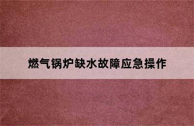 燃气锅炉缺水故障应急操作