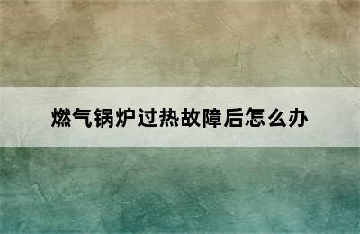 燃气锅炉过热故障后怎么办