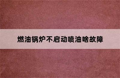 燃油锅炉不启动喷油啥故障