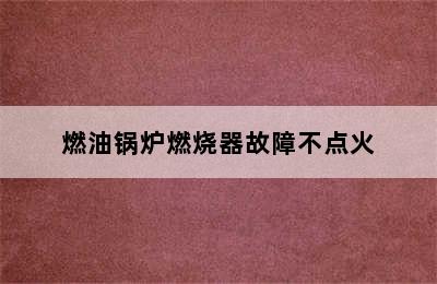 燃油锅炉燃烧器故障不点火