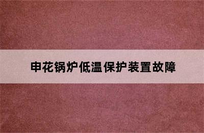 申花锅炉低温保护装置故障