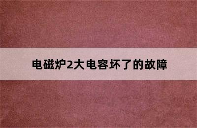 电磁炉2大电容坏了的故障