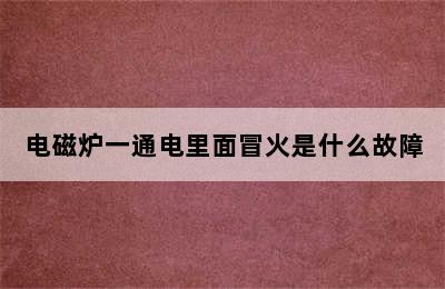 电磁炉一通电里面冒火是什么故障