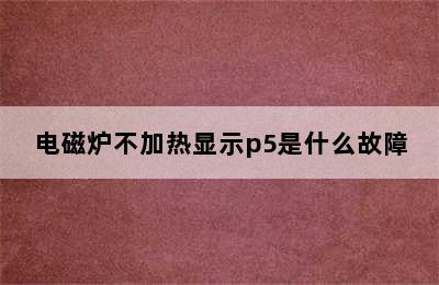 电磁炉不加热显示p5是什么故障