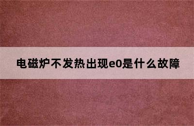 电磁炉不发热出现e0是什么故障