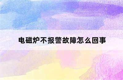 电磁炉不报警故障怎么回事