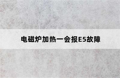 电磁炉加热一会报E5故障