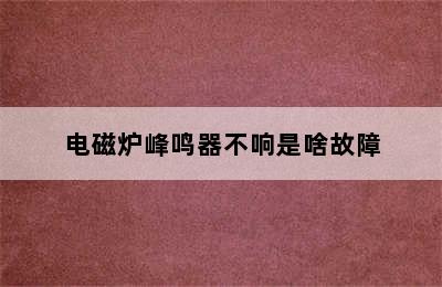 电磁炉峰鸣器不响是啥故障