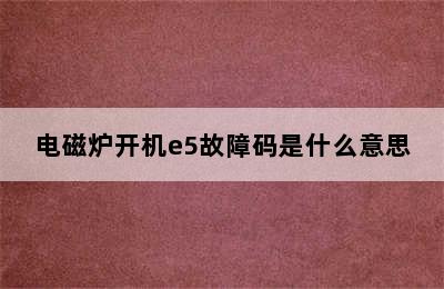 电磁炉开机e5故障码是什么意思