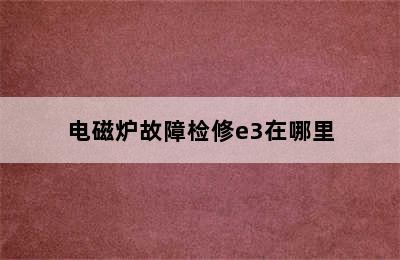 电磁炉故障检修e3在哪里