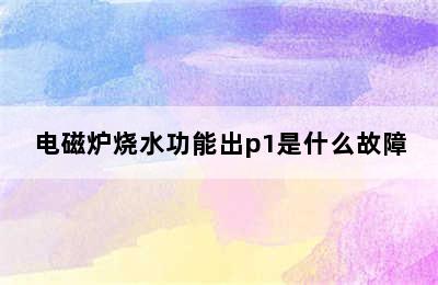 电磁炉烧水功能出p1是什么故障