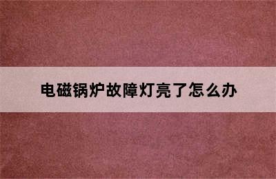 电磁锅炉故障灯亮了怎么办