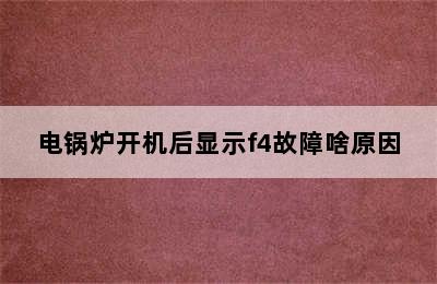 电锅炉开机后显示f4故障啥原因