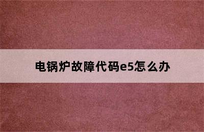 电锅炉故障代码e5怎么办