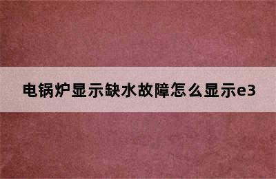 电锅炉显示缺水故障怎么显示e3