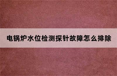 电锅炉水位检测探针故障怎么排除