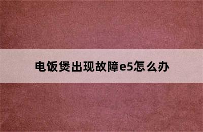 电饭煲出现故障e5怎么办