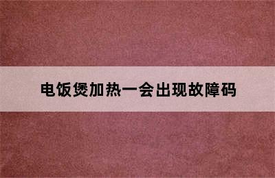 电饭煲加热一会出现故障码