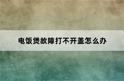 电饭煲故障打不开盖怎么办